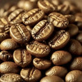 White Roast