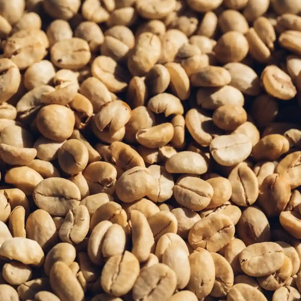 Smooth White Roast Coffee Beans – Low-Acid Costa Rican